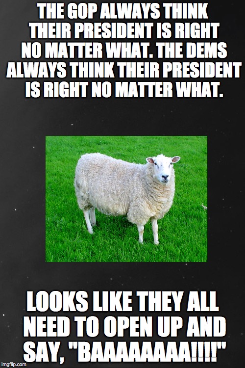 You are all sheep if you can't admit when your President is wrong! | THE GOP ALWAYS THINK THEIR PRESIDENT IS RIGHT NO MATTER WHAT. THE DEMS ALWAYS THINK THEIR PRESIDENT IS RIGHT NO MATTER WHAT. LOOKS LIKE THEY | image tagged in sheep,president,political | made w/ Imgflip meme maker
