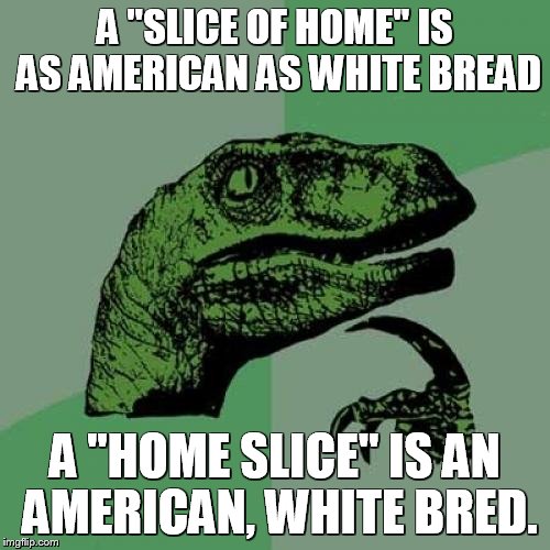 Philosoraptor Meme | A "SLICE OF HOME" IS AS AMERICAN AS WHITE BREAD A "HOME SLICE" IS AN AMERICAN, WHITE BRED. | image tagged in memes,philosoraptor | made w/ Imgflip meme maker