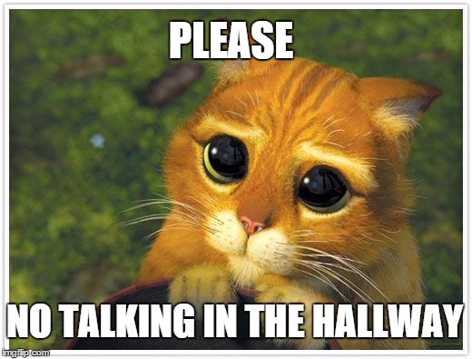 Shrek Cat Meme | PLEASE NO TALKING IN THE HALLWAY | image tagged in memes,shrek cat | made w/ Imgflip meme maker