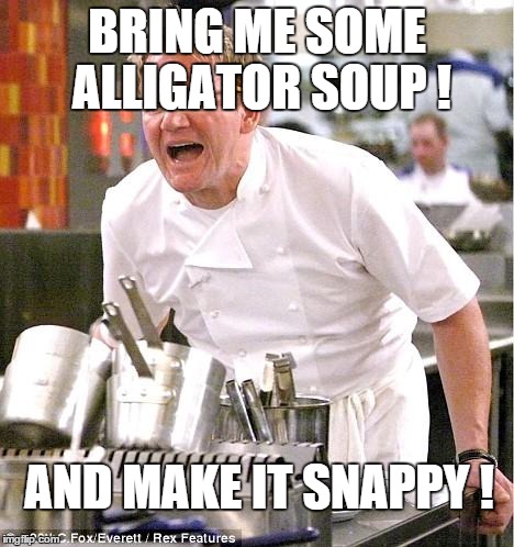 Bad pun chef | BRING ME SOME ALLIGATOR SOUP ! AND MAKE IT SNAPPY ! | image tagged in memes,chef gordon ramsay,bad pun,alligator | made w/ Imgflip meme maker