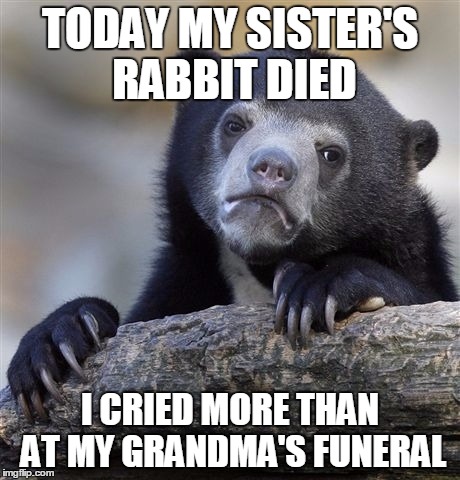 Confession Bear Meme | TODAY MY SISTER'S RABBIT DIED I CRIED MORE THAN AT MY GRANDMA'S FUNERAL | image tagged in memes,confession bear,AdviceAnimals | made w/ Imgflip meme maker