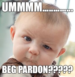 Skeptical Baby Meme | UMMMM.............. BEG PARDON????? | image tagged in memes,skeptical baby | made w/ Imgflip meme maker