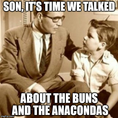 Father and Son | SON, IT'S TIME WE TALKED ABOUT THE BUNS AND THE ANACONDAS | image tagged in father and son | made w/ Imgflip meme maker