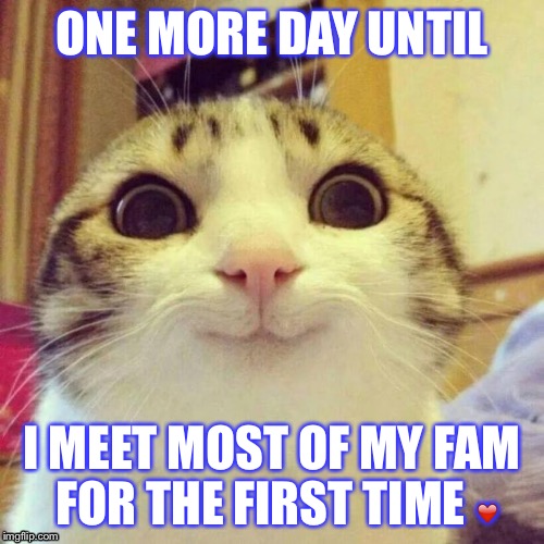 Smiling Cat | ONE MORE DAY UNTIL I MEET MOST OF MY FAM FOR THE FIRST TIME ❤️ | image tagged in memes,smiling cat | made w/ Imgflip meme maker