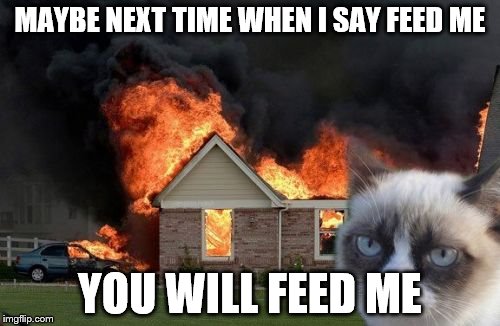 Burn Kitty Meme | MAYBE NEXT TIME WHEN I SAY FEED ME YOU WILL FEED ME | image tagged in memes,burn kitty | made w/ Imgflip meme maker