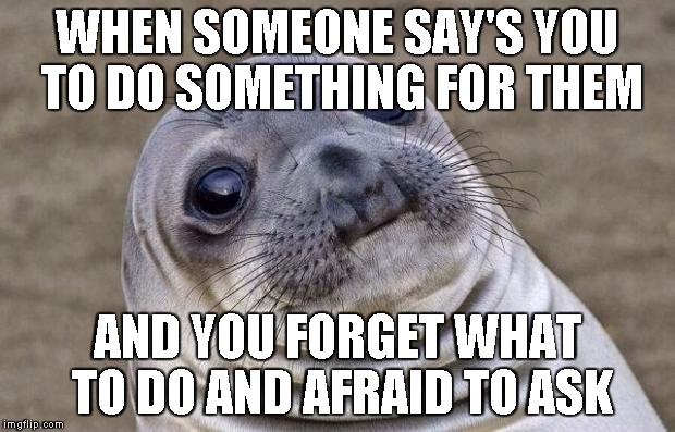 Awkward Moment Sealion | WHEN SOMEONE SAY'S YOU TO DO SOMETHING FOR THEM AND YOU FORGET WHAT TO DO AND AFRAID TO ASK | image tagged in memes,awkward moment sealion | made w/ Imgflip meme maker