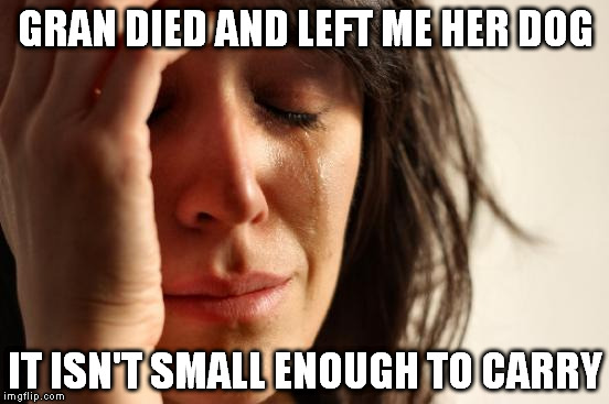 First World Problems Meme | GRAN DIED AND LEFT ME HER DOG IT ISN'T SMALL ENOUGH TO CARRY | image tagged in memes,first world problems | made w/ Imgflip meme maker