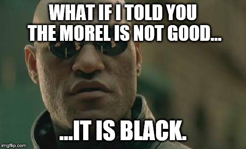 Matrix Morpheus Meme | WHAT IF I TOLD YOU THE MOREL IS NOT GOOD... ...IT IS BLACK. | image tagged in memes,matrix morpheus | made w/ Imgflip meme maker