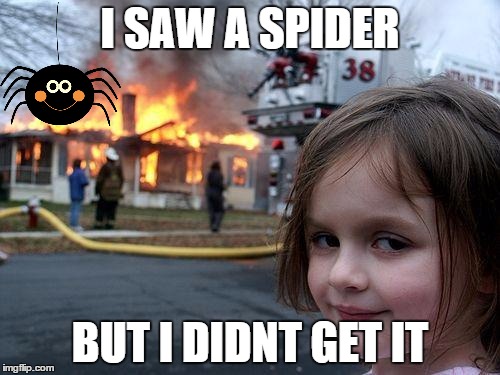 Disaster Girl | I SAW A SPIDER BUT I DIDNT GET IT | image tagged in memes,disaster girl | made w/ Imgflip meme maker