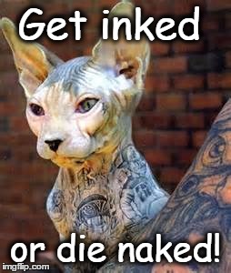 inked kitty - get inked or die naked | Get inked or die naked! | image tagged in tattoo,cat,naked | made w/ Imgflip meme maker