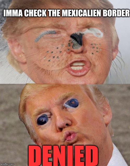 Poor Donald Trump | IMMA CHECK THE MEXICALIEN BORDER DENIED | image tagged in donald trump,memes | made w/ Imgflip meme maker