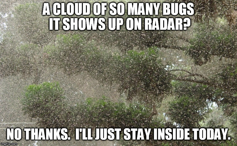 can I just say "Ew"? | A CLOUD OF SO MANY BUGS IT SHOWS UP ON RADAR? NO THANKS.  I'LL JUST STAY INSIDE TODAY. | image tagged in bugs,stay inside | made w/ Imgflip meme maker