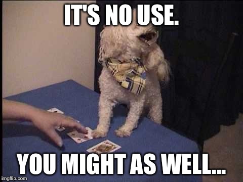 IT'S NO USE. YOU MIGHT AS WELL... | image tagged in show a dog a card trick | made w/ Imgflip meme maker