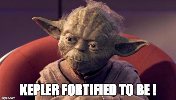 Yoda | KEPLER FORTIFIED TO BE ! | image tagged in yoda | made w/ Imgflip meme maker