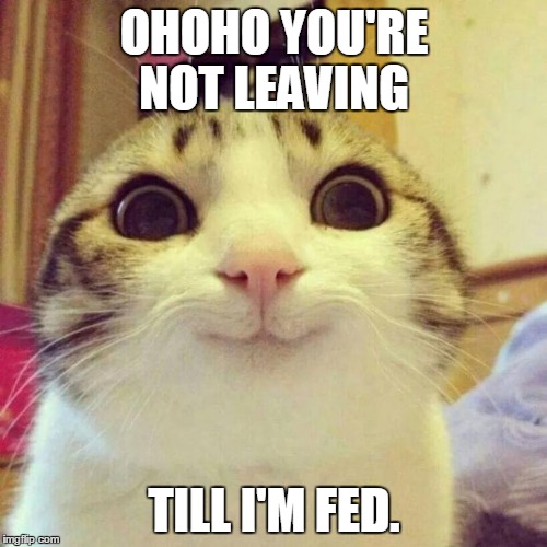 Smiling Cat Meme | OHOHO YOU'RE NOT LEAVING TILL I'M FED. | image tagged in memes,smiling cat | made w/ Imgflip meme maker