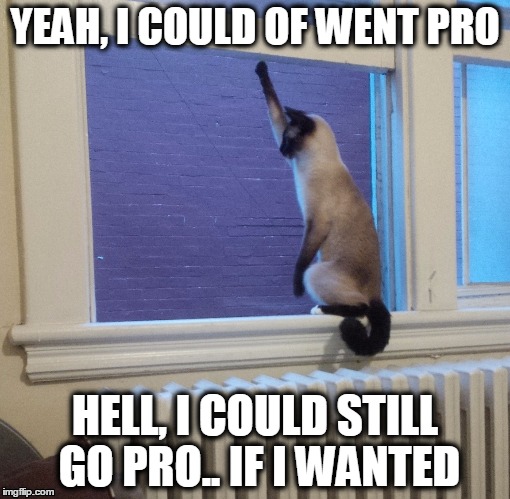 Mr. Wiskers | YEAH, I COULD OF WENT PRO HELL, I COULD STILL GO PRO.. IF I WANTED | image tagged in funny | made w/ Imgflip meme maker