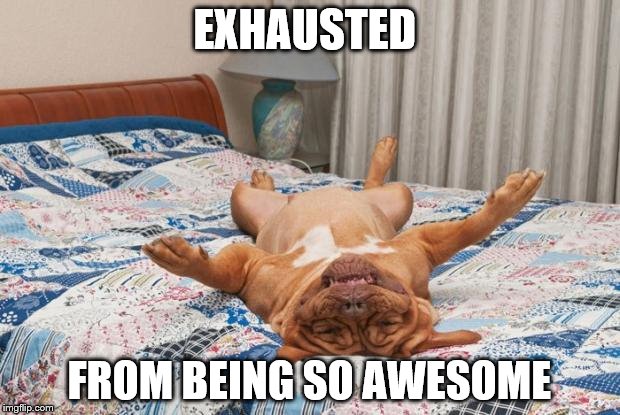 tired | EXHAUSTED FROM BEING SO AWESOME | image tagged in tired | made w/ Imgflip meme maker