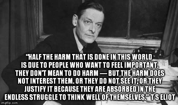 “HALF THE HARM THAT IS DONE IN THIS WORLD IS DUE TO PEOPLE WHO WANT TO FEEL IMPORTANT. THEY DON’T MEAN TO DO HARM — BUT THE HARM DOES NOT IN | image tagged in t s eliot | made w/ Imgflip meme maker