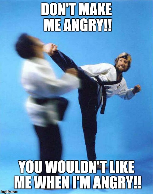 Roundhouse Kick Chuck Norris | DON'T MAKE ME ANGRY!! YOU WOULDN'T LIKE ME WHEN I'M ANGRY!! | image tagged in roundhouse kick chuck norris | made w/ Imgflip meme maker