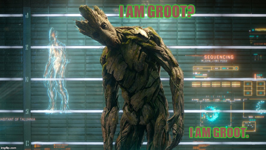I AM GROOT? I AM GROOT. | image tagged in groot | made w/ Imgflip meme maker