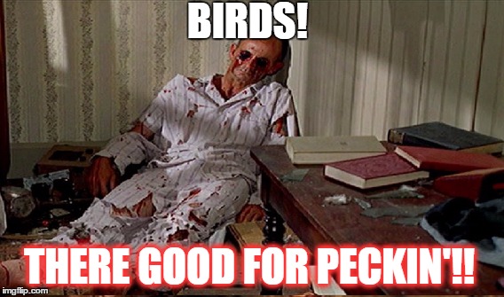 BIRDS | BIRDS! THERE GOOD FOR PECKIN'!! | image tagged in birds | made w/ Imgflip meme maker