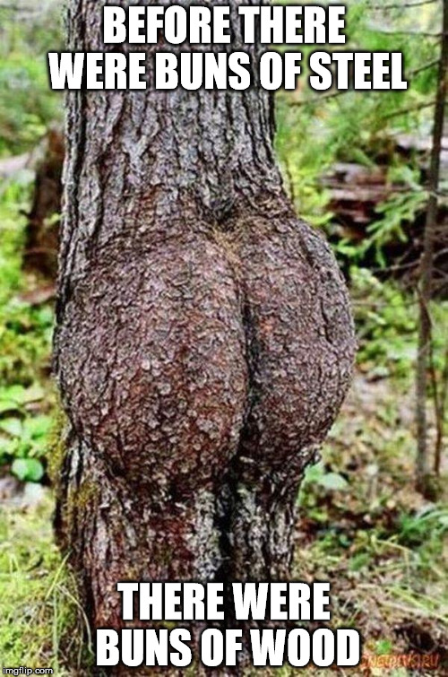 Sexy Tree | BEFORE THERE WERE BUNS OF STEEL THERE WERE BUNS OF WOOD | image tagged in sexy tree | made w/ Imgflip meme maker