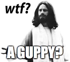 WTF Jesus | A GUPPY? | image tagged in wtf jesus | made w/ Imgflip meme maker