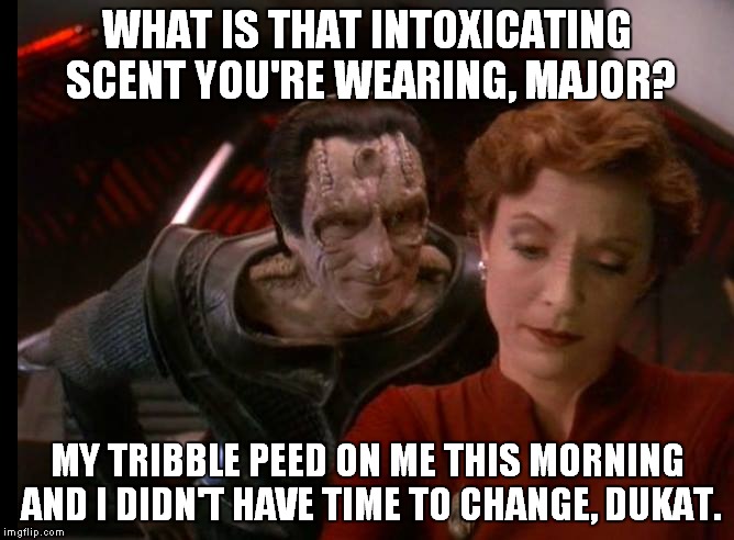 Kira and Dukat | WHAT IS THAT INTOXICATING SCENT YOU'RE WEARING, MAJOR? MY TRIBBLE PEED ON ME THIS MORNING AND I DIDN'T HAVE TIME TO CHANGE, DUKAT. | image tagged in star trek | made w/ Imgflip meme maker