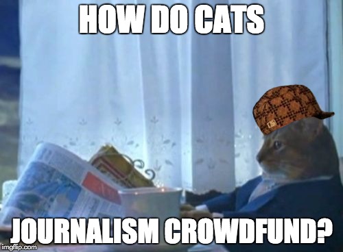 I Should Buy A Boat Cat | HOW DO CATS JOURNALISM CROWDFUND? | image tagged in memes,i should buy a boat cat,scumbag | made w/ Imgflip meme maker
