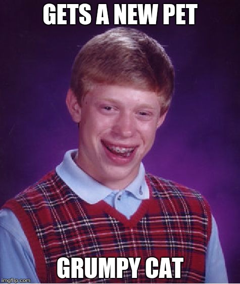 Poor Brian | GETS A NEW PET GRUMPY CAT | image tagged in memes,bad luck brian,grumpy cat,pets | made w/ Imgflip meme maker