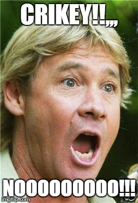 Steve Irwin shocked | CRIKEY!!,,, NOOOOOOOOO!!! | image tagged in steve irwin shocked | made w/ Imgflip meme maker