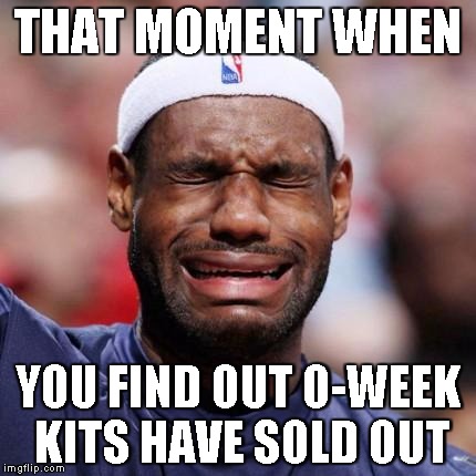 LEBRON JAMES | THAT MOMENT WHEN YOU FIND OUT O-WEEK KITS HAVE SOLD OUT | image tagged in lebron james | made w/ Imgflip meme maker