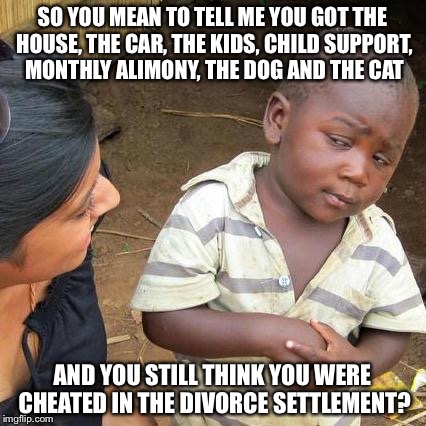 Third World Skeptical Kid | SO YOU MEAN TO TELL ME YOU GOT THE HOUSE, THE CAR, THE KIDS, CHILD SUPPORT, MONTHLY ALIMONY, THE DOG AND THE CAT AND YOU STILL THINK YOU WER | image tagged in memes,third world skeptical kid | made w/ Imgflip meme maker