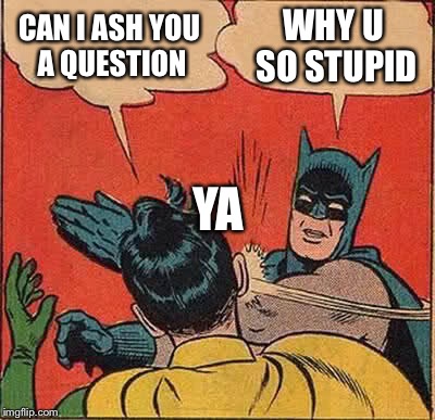 Batman Slapping Robin Meme | CAN I ASH YOU A QUESTION WHY U SO STUPID YA | image tagged in memes,batman slapping robin | made w/ Imgflip meme maker