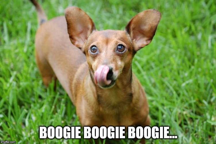 Boogie booger | BOOGIE BOOGIE BOOGIE... | image tagged in boogie boogie | made w/ Imgflip meme maker