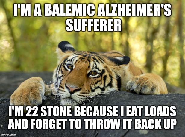 Confession Tiger | I'M A BALEMIC ALZHEIMER'S SUFFERER I'M 22 STONE BECAUSE I EAT LOADS AND FORGET TO THROW IT BACK UP | image tagged in confession tiger | made w/ Imgflip meme maker