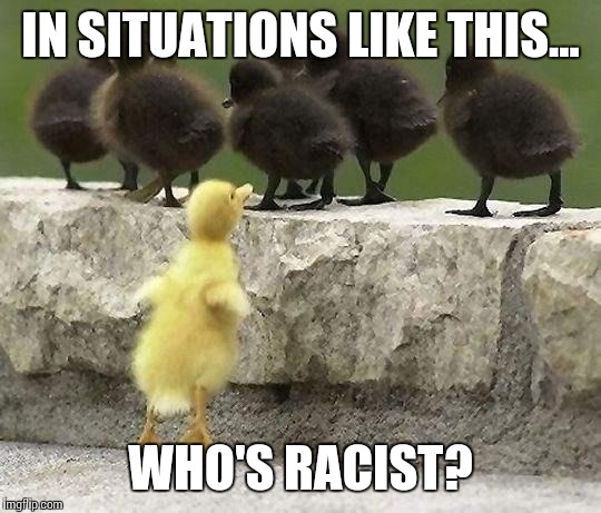 I think we're better off not trying to know  | IN SITUATIONS LIKE THIS... WHO'S RACIST? | image tagged in ducks,memes | made w/ Imgflip meme maker
