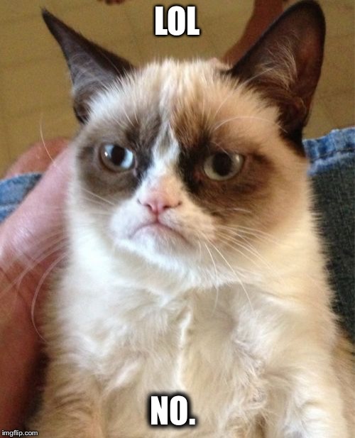 Grumpy Cat Meme | LOL NO. | image tagged in memes,grumpy cat | made w/ Imgflip meme maker