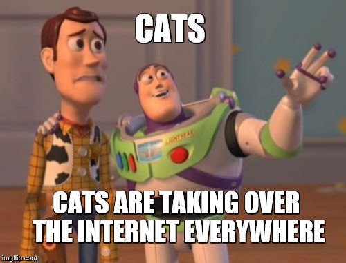 X, X Everywhere Meme | CATS CATS ARE TAKING OVER THE INTERNET EVERYWHERE | image tagged in memes,x x everywhere | made w/ Imgflip meme maker