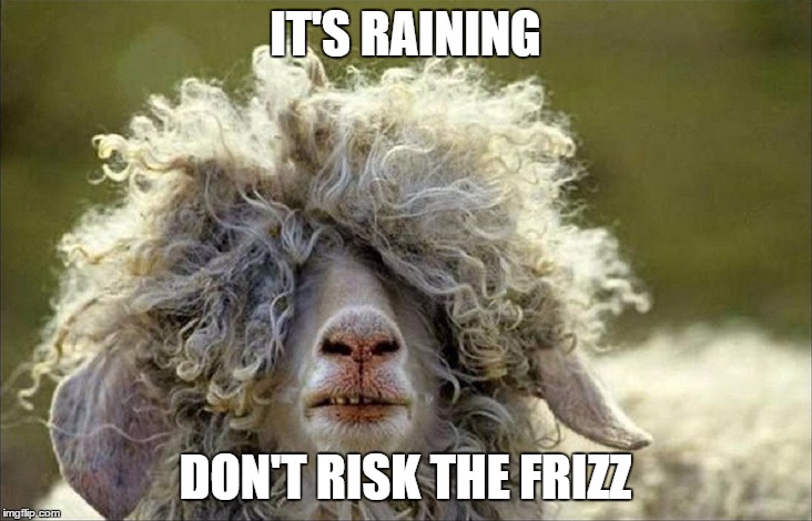 IT'S RAINING DON'T RISK THE FRIZZ | image tagged in frizz | made w/ Imgflip meme maker