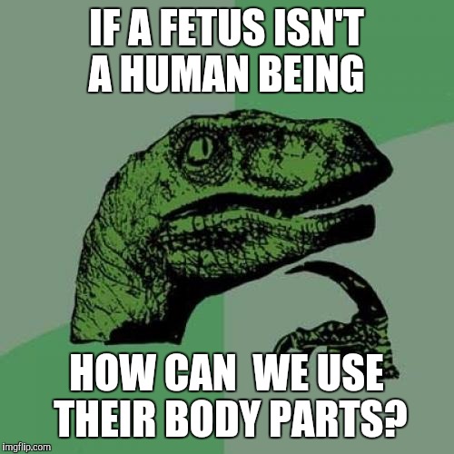 Philosoraptor | IF A FETUS ISN'T A HUMAN BEING HOW CAN  WE USE THEIR BODY PARTS? | image tagged in memes,philosoraptor | made w/ Imgflip meme maker