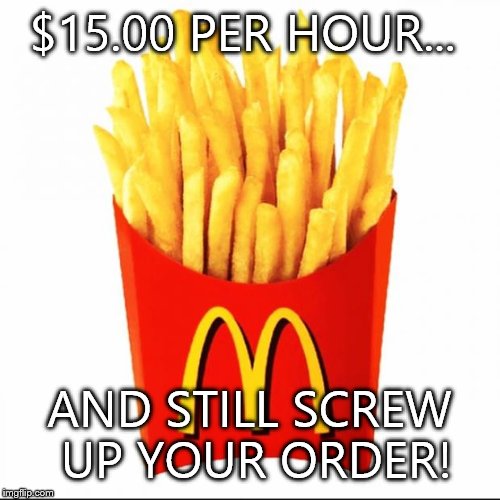 Fries | $15.00 PER HOUR... AND STILL SCREW UP YOUR ORDER! | image tagged in fries | made w/ Imgflip meme maker