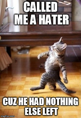 Cool Cat Stroll Meme | CALLED ME A HATER CUZ HE HAD NOTHING ELSE LEFT | image tagged in memes,cool cat stroll | made w/ Imgflip meme maker