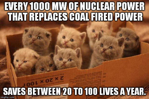 Nuclear Power saves kittens... and people too! | EVERY 1000 MW OF NUCLEAR POWER THAT REPLACES COAL FIRED POWER SAVES BETWEEN 20 TO 100 LIVES A YEAR. | image tagged in box o kittens,nuclear power,truth,facts | made w/ Imgflip meme maker