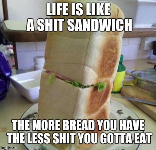 Shit Sandwich | LIFE IS LIKE A SHIT SANDWICH THE MORE BREAD YOU HAVE THE LESS SHIT YOU GOTTA EAT | image tagged in sandwich | made w/ Imgflip meme maker