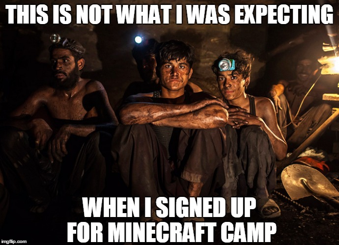 Minecraft Camp | THIS IS NOT WHAT I WAS EXPECTING WHEN I SIGNED UP FOR MINECRAFT CAMP | image tagged in minecraft | made w/ Imgflip meme maker