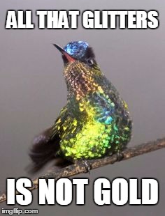 glitter bird | ALL THAT GLITTERS IS NOT GOLD | image tagged in bird,glitter,shinny | made w/ Imgflip meme maker