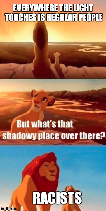 Simba Shadowy Place Meme | EVERYWHERE THE LIGHT TOUCHES IS REGULAR PEOPLE RACISTS | image tagged in memes,simba shadowy place | made w/ Imgflip meme maker