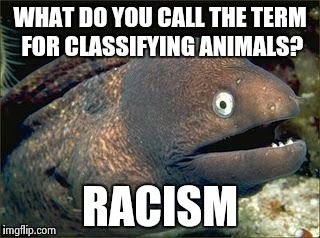 Bad Joke Eel | WHAT DO YOU CALL THE TERM FOR CLASSIFYING ANIMALS? RACISM | image tagged in bad joke eel | made w/ Imgflip meme maker