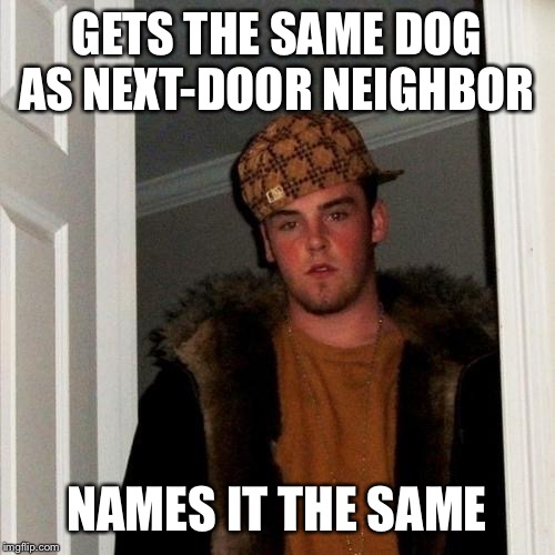 Scumbag Steve | GETS THE SAME DOG AS NEXT-DOOR NEIGHBOR NAMES IT THE SAME | image tagged in memes,scumbag steve | made w/ Imgflip meme maker